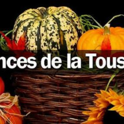 planning vacances de la toussaint